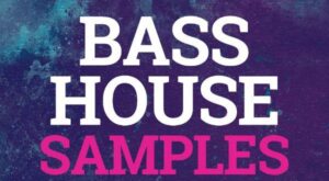 Big Sounds Bass House Samples Vol.2 e1658386099734