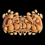 Aunix & Leqn – Crank [Stash Kit] Free Download - MIDI, Loops, Presets