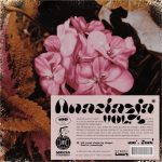 Minta Foundry - Anastazja Vocal Chops Volume 2