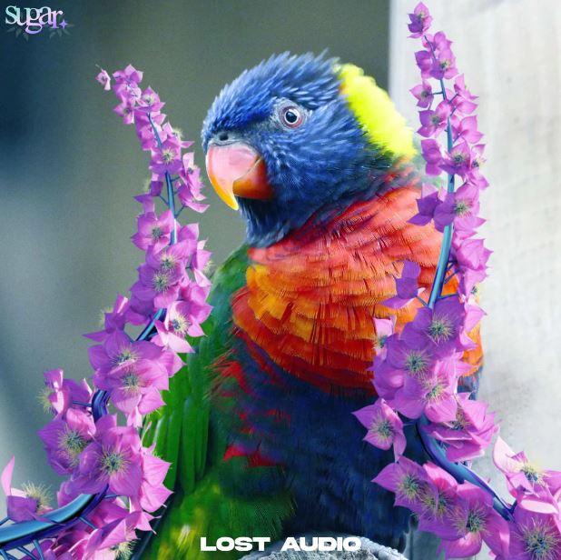 Lost Audio - Sugar Premium Samples Free Download