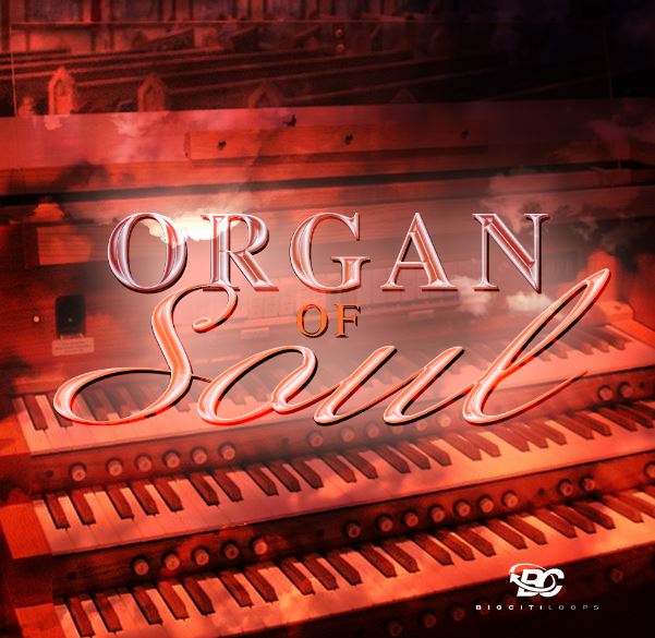 Bigcitiloops - Organ Of Soul Free Download