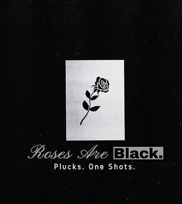 Paul Cabbin — Roses Are Black Sample Pack 