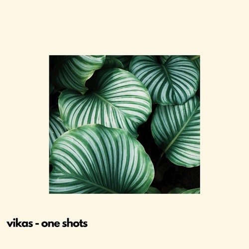 VIKAS – ONE SHOTS VOL 1 Free Download