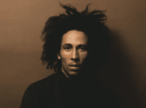 Bob Marley - Masterpieces Stems