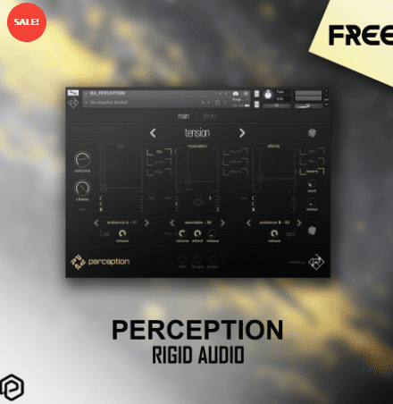Perception by Rigid Audio