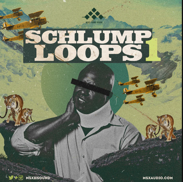 MSXII - Schlump Loops 1 