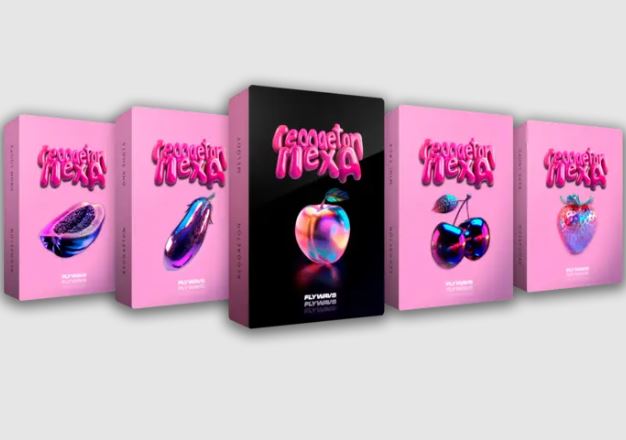 Flywavs Reggaeton Mexa - Kits4Beats